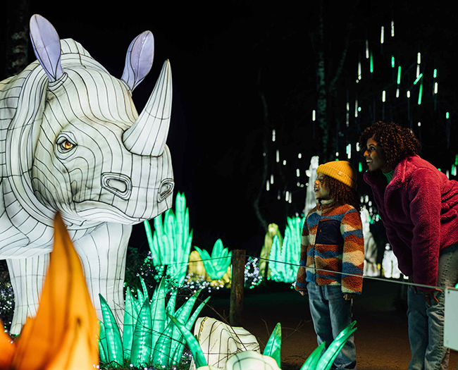 Lightsafari_moeder_kind_neushoorn_650x525.jpg