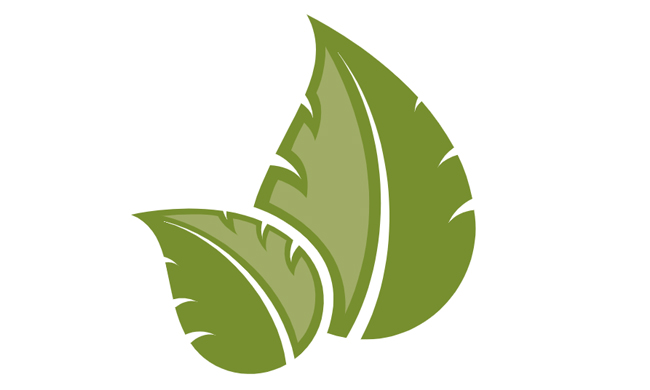 Dierenbos_blaadjes_icon_650x390.jpg