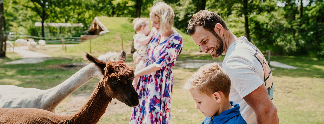 Gezin_alpacas_zon_1300x500.jpg