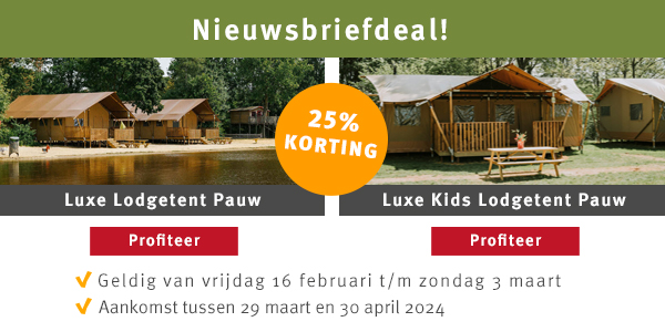 Nieuwsbriefdeal