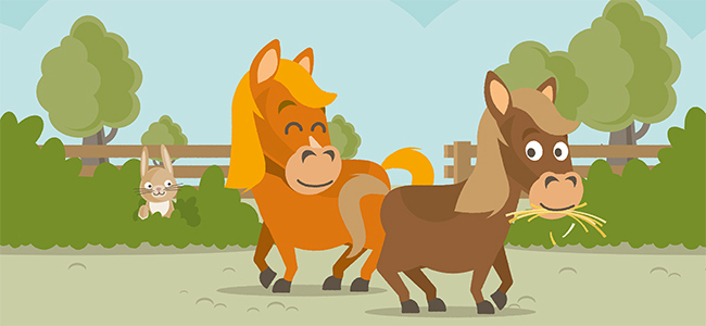 Nieuwe pony weide