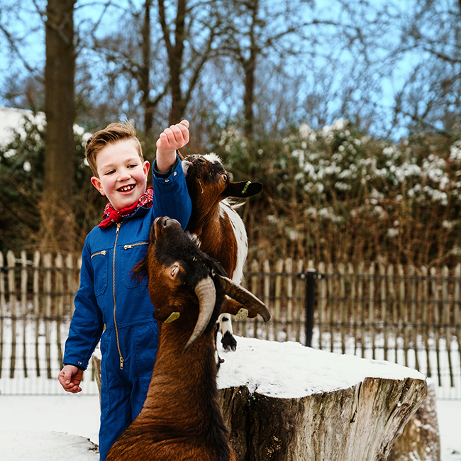 Jongetje_geit_voeren_sneeuw_650x650.jpg