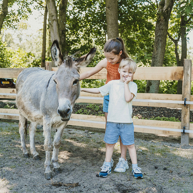 Kinderen_ezel_aaien_650x650.jpg