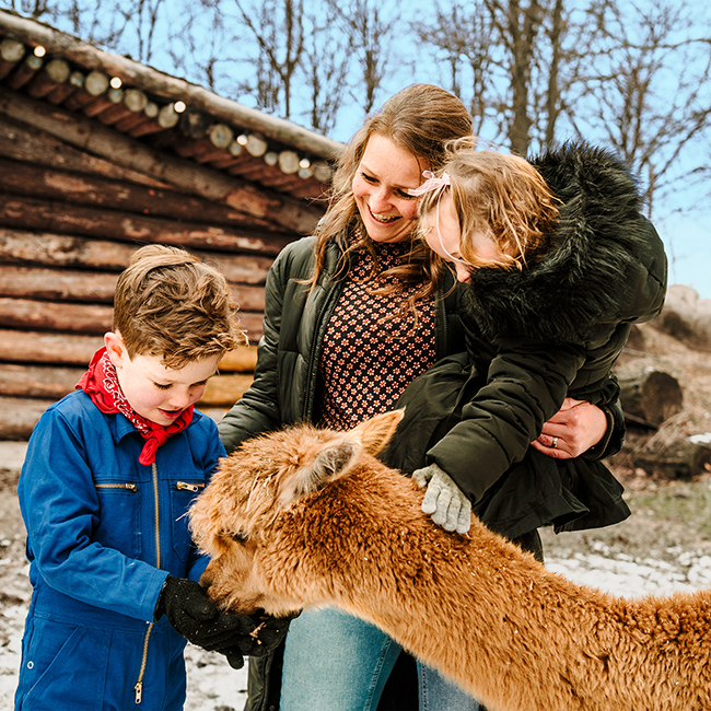 Moeder_kinderen_alpaca_650x650.jpg